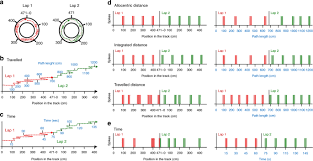 Check spelling or type a new query. Path Integration Maintains Spatial Periodicity Of Grid Cell Firing In A 1d Circular Track Nature Communications