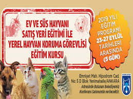 ankara buyuksehir belediyesi sahipsiz hayvanlar