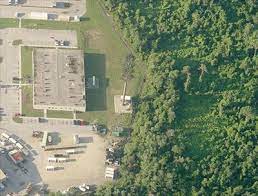Buy a wildlife reserve rebirth for cash boosts and build a giant. Disguised Cell Tower Near Animal Kingdom Disney World Fl Disguised Cell Towers On Waymarking Com