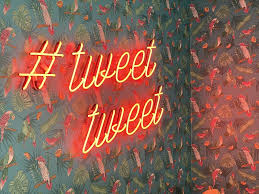 Asenna offers a wide range services including trading strategies and portfolio management to its investor clientele. 2020 Lessons From Fintwit Influencers Morningstar