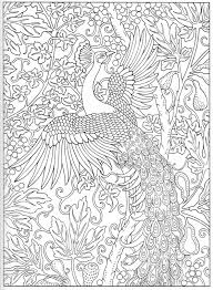 Peacock Coloring Page 15 31 Peacock Coloring Pages Coloring Pages Bird Coloring Pages