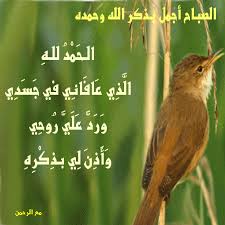 مع الرحمن اللهم صبح إخوتى على نور يسعد قلوبهم وعافية تملأ أب romantic love quotes romantic love beautiful gif