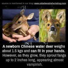 Check spelling or type a new query. Unbelievable Facts