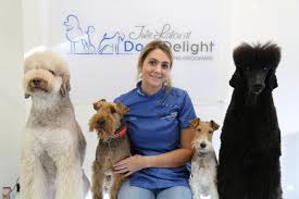 Where to get the best pet grooming in london? Professional Qualified Dog Grooming Salon West London Dogs Delight