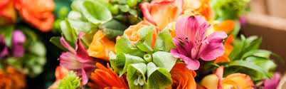Many varieties to choose from throughout the year. Wholesale Flowers Kittelberger Florist Rochester Webster Ny