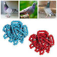 100x Reusable Pigeons Leg Rings 8mm Foot Bands Identification for Parrot,  Quail, White and Blue - Walmart.com