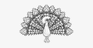 Download 950+ royalty free peacock black and white vector images. Peacock Bird Pheasant Plumage Feather Colo Peacock Black And White Png Png Image Transparent Png Free Download On Seekpng