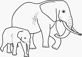 Referat elefant bilderzum ausmalen : Malvorlagen Elefanten Kostenlos Ausdrucken Coloring And Malvorlagan