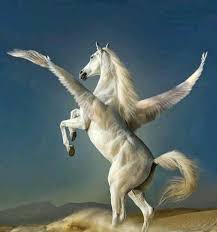 vielleicht wird jedes pferd wenn es zum himmel geht ein pegasus fantasy horses magical horses pegasus