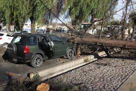 Mendoza es caluroso en verano, y si, bastante pero es un calor seco y soportable, nada ue una buena birra no solucione jaja, estoy segura. Iz Ihp7fxtp4lm