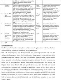 Speichernbiologie arbeitsblatt zelle für später speichern. Vorbereitungen Zum Einzelbesuch In Der Klasse 7 Einer Realschule Pdf Free Download