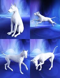Great Dog Poses For Daz Dog 8 3d Models And 3d Software By Daz 3d Dog Anatomy Dog Poses Dogs