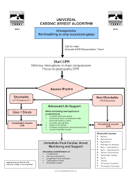There is a list provided for what to ensure when shock energy is being used. Universal Cardiac Arrest Algorithm Icu Nursing Cardiac Nursing Cardiac