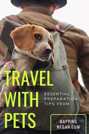 Preparation Tips Things To Do Before Traveling With Your Pet Mapping Megan Pet Travel Traveling By Yourself Road Trip With Dog