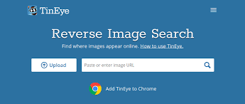 The thing that makes this search engine stand out is that it lets you use multiple images on multiple search engines. 11 Best Image Search Engines You Cannot Miss