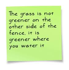 The Grass Is Always Greener On The Other Side Of The Fence Story There Are Too Many People Out There That Think The Grass Will Be Greener On The Other Side That Is Not Always The Case Your Gras Waarheden Gedachten Spreuken
