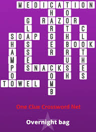 Overnight Bag Bonus Puzzle Get Answers For One Clue Crossword Now