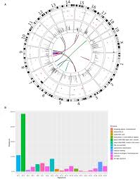 It can also indicate noncancerous problems such as prostate enlargement and inflammation. Frontiers Multi Omics Characterization Of The 4t1 Murine Mammary Gland Tumor Model Oncology