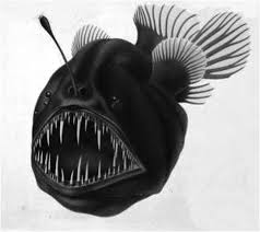 In the deep sea, there is no light. Introduction Chapter 1 Deep Sea Fishes