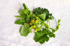 Vediamo quindi come cucinare i friarielli napoletani con salsiccia. Cime Di Rapa Vs Friarielli La Differenza
