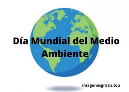 Cada año, desde 1974, el día mundial del medio ambiente se celebra el 5 de junio con la participación de gobiernos, empresas y ciudadanos en un esfuerzo por abordar los más apremiantes problemas ambientales. 40 Imagenes Y Frases Gratis Del Dia Del Medio Ambiente Imagenes Gratis