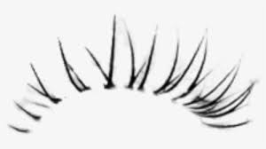 Clear plastic case with clear tray and glitter paper inside more items to explore. Lash Eyelashes Eyelash Mascara Eyelashes Png For Photoshop Transparent Png Transparent Png Image Pngitem