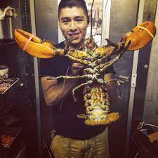 6lb Lobster From Big Fish Grill Rehoboth Rehoboth Big Fish Fish