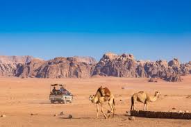 Live a unique experience with our camel tours and cross the wadi rum like a bedouin. Wadi Rum Bedouin Campsite Tours Bedouin Campsite Tours