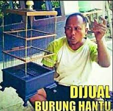 Check spelling or type a new query. Waslim Doank On Twitter Dijual Burung Hantu Bagus Terawat Dan Murah