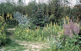 The Garden In Movement Parc Andre Citroen Landscape Design Landscape Architecture Images
