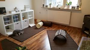 Teppiche und polstermöbel reinigen sie sicher regelmäßig mit dem staubsauger. Urinflecken Aus Parkett Laminat Pvc Und Teppichboden Entfernen Haltung Verhalten