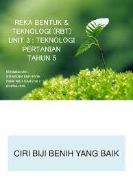 Bacaan antara dua sujud bacaan ayat kursi dalam rumi bacaan 2 ayat terakhir surat al baqarah latin dan artinya azrinaz mazhar hakim ig baba. Ciri Ciri Biji Benih Yang Tidak Baik Benih Toko