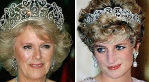 Princess Diana would have disliked Camilla becoming Queen consort: 'No  question about it'