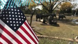 Veteran's Day at the Zoo