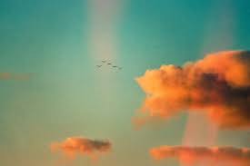 Stephen's photography served the northern jefferson county community for 40 years. Dream Up In The Clouds Film Photography On Behance