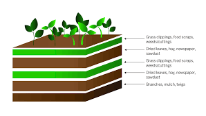 We did not find results for: Lasagna Gardening Home Garden Information Center
