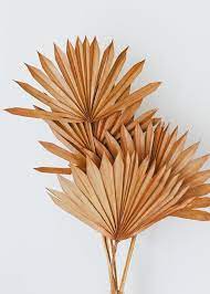 Silk Orchids Tropical Flowers Artificial Palm Leaves At Afloral Page 4 Leaf Decor Dried Flowers Palm Leaves