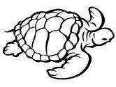 Cute ninja turtle head coloring page. Turtles Coloring Pages