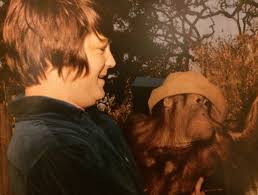 Brianwilsonpresentssmile Brian Wilson In 1966 From The Pet Sounds Tour Program The Beach Boys Brian Wilson Pet Sounds