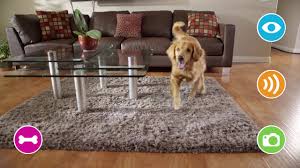Wifi camera app control cat feeding bowl automatic dog feeders auto food dispenser container pet accessories for small large dog. Petzi Treat Cam Wifi Pet Camera Treat Dispenser Youtube