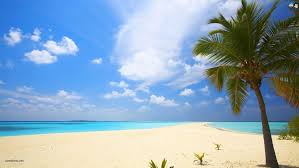 Maybe you would like to learn more about one of these? Beach Backgrounds Wallpaper Cave Background Image Beach Hd 1920x1080 Wallpaper Teahub Io