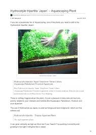 The technology of davey arbor green pro is intended to mimic the natural availability of nutrients in the forest environment. Greenpro Hydrocotyle Tripartita Japan Dwarf Pennywort Live Aquarium Plant Potted For Freshwater Fish Tank Fish Aquatic Pets Pet Supplies Utopiacancercenter Com