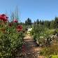 Nature Explorers Club — SBGS event image