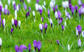 Actiuni caritabile si de sustinere. Vremea 3 Martie 2019 Temperaturile Incep SÄƒ CreascÄƒ Prognoza Pe 3 Zile Stirileprotv Ro