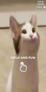 Video of a cat making popsupport my channel: Updated Pop Cat Meme Pc Android App Mod Download 2021