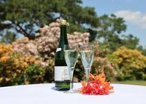 Bubbles & Bites in the Azaleas