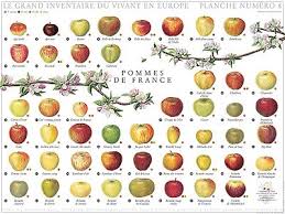 merakbal ente: vintage kitchen posters