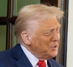 Liz Cheney/Adam Kinzinger Against Trump