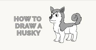 Cute baby husky with a bowtie coloring page. How To Draw A Husky Really Easy Drawing Tutorial