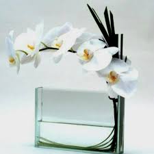 Read an excerpt from field, flower, vase. Clean Look Orchids Precise Contemporary Orchid Arrangement